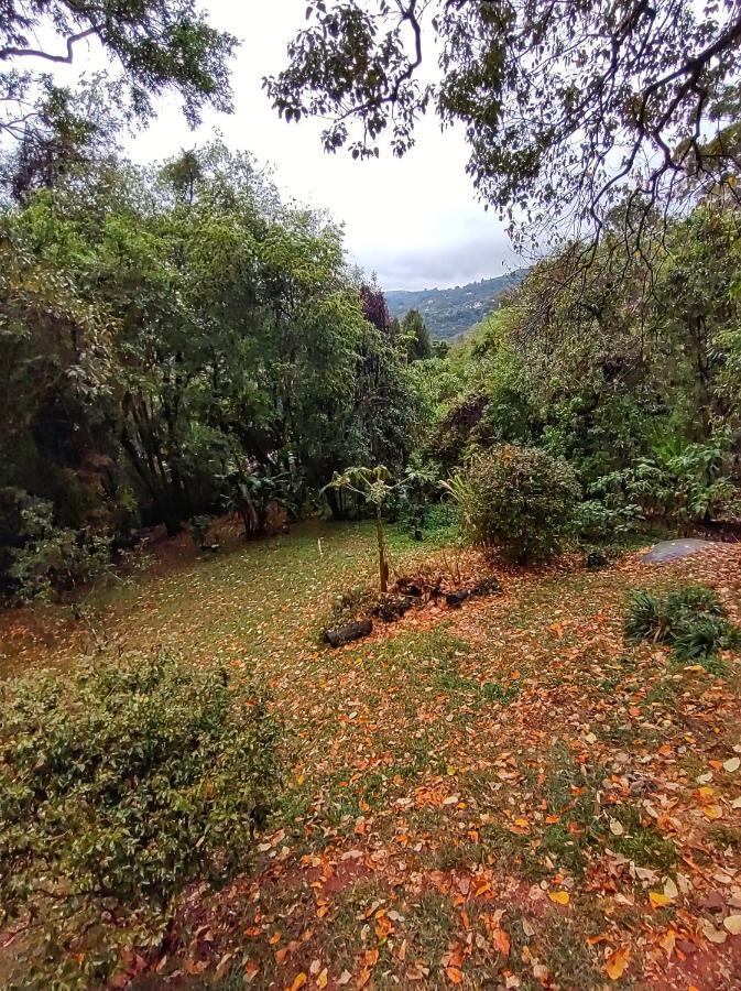 Mairiporã Casa Refugio Cantareira מראה חיצוני תמונה